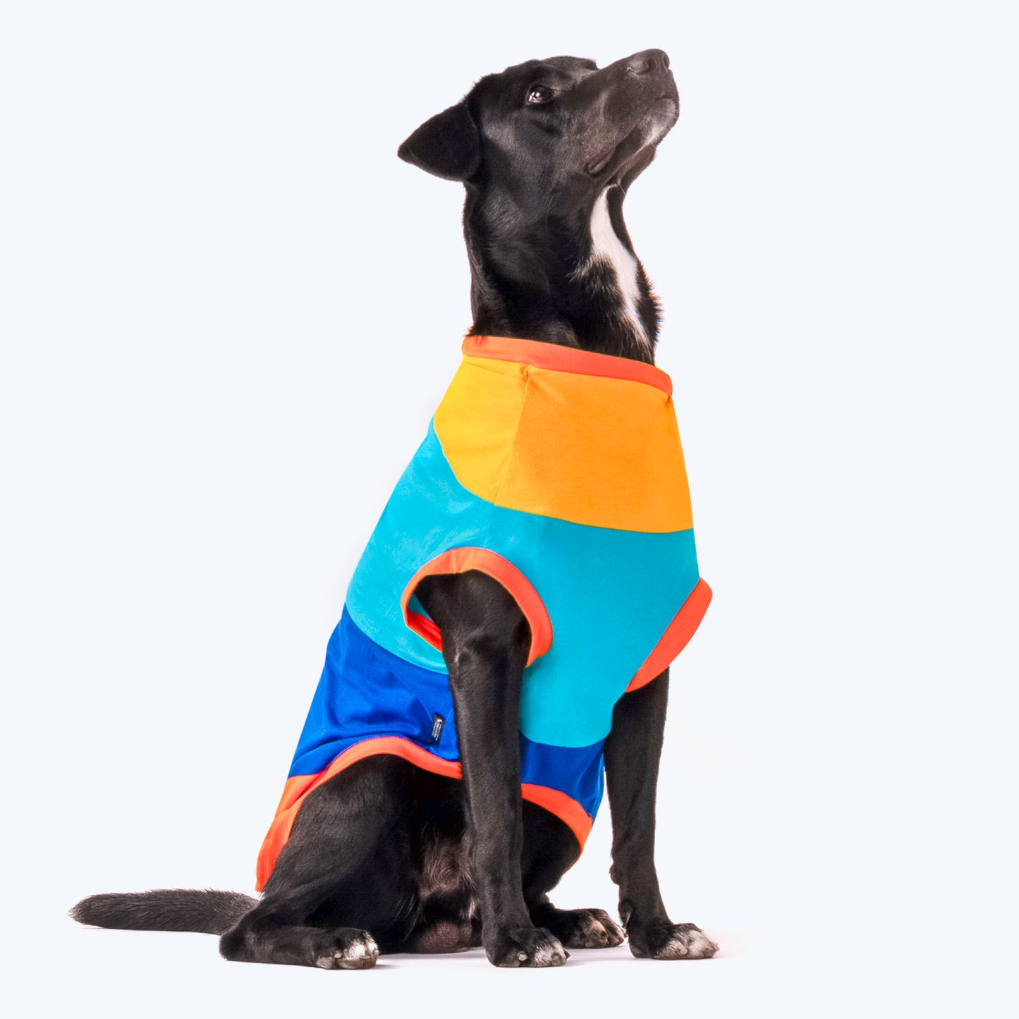 HUFT Sunny Party Vest For Dogs - Multicolour - Heads Up For Tails
