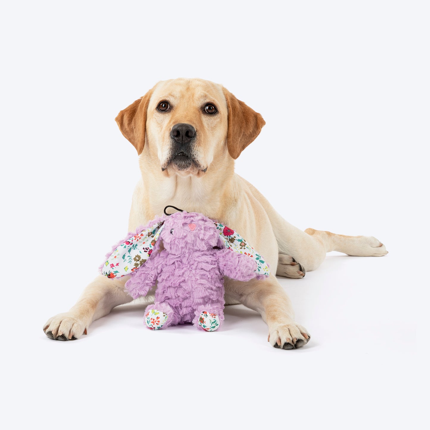 HUFT Bunty The Bunny Plush Toy For Dog - Light Purple - Heads Up For Tails