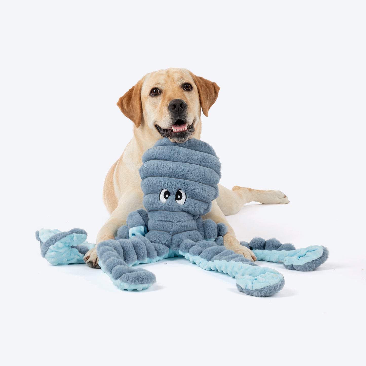 HUFT Mister Wiggles Plush Toy For Dog - Slate Blue - Heads Up For Tails