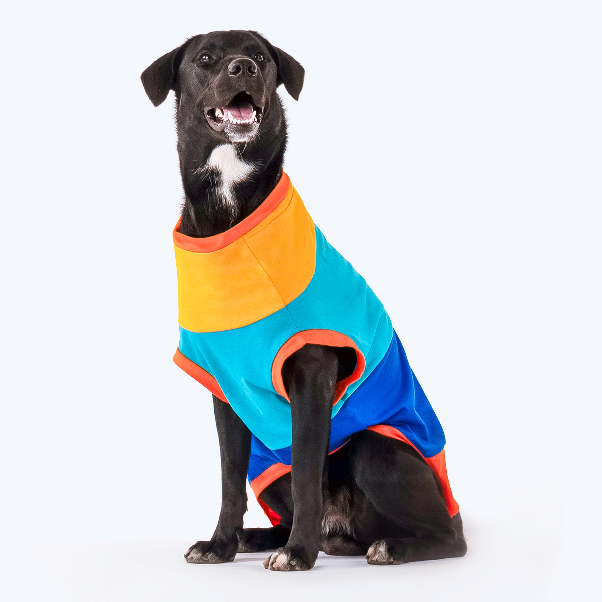 HUFT Sunny Party Vest For Dogs - Multicolour - Heads Up For Tails