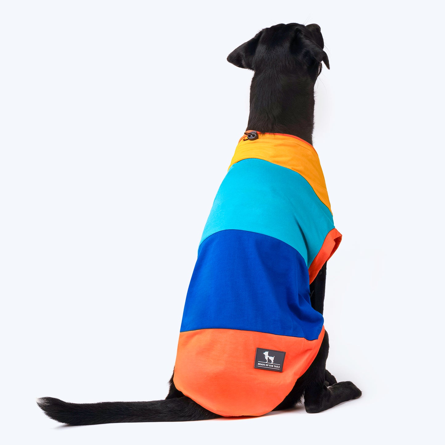 HUFT Sunny Party Vest For Dogs - Multicolour - Heads Up For Tails