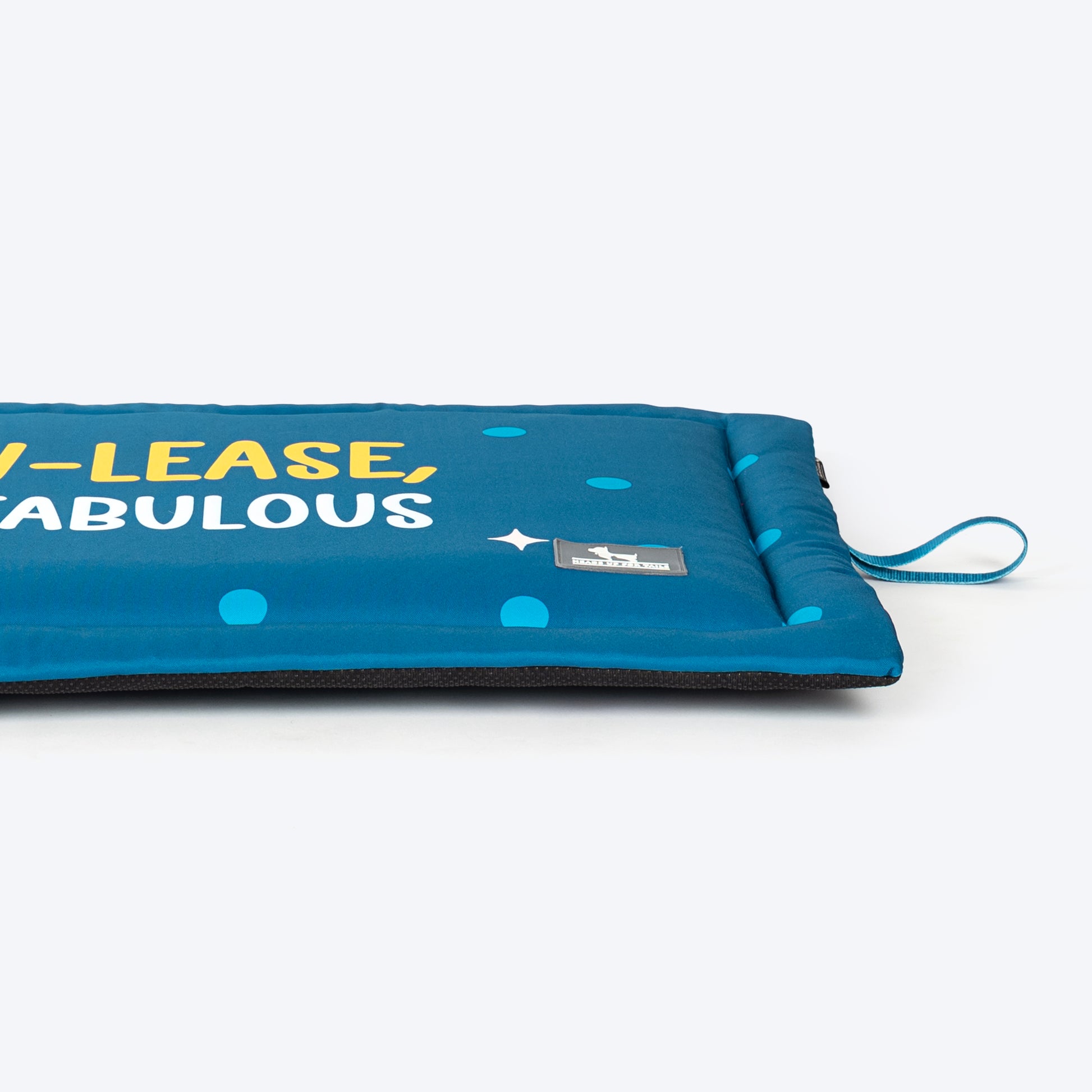 HUFT Pawlease I'm Fabulous Mat For Dog - Teal Blue - Heads Up For Tails