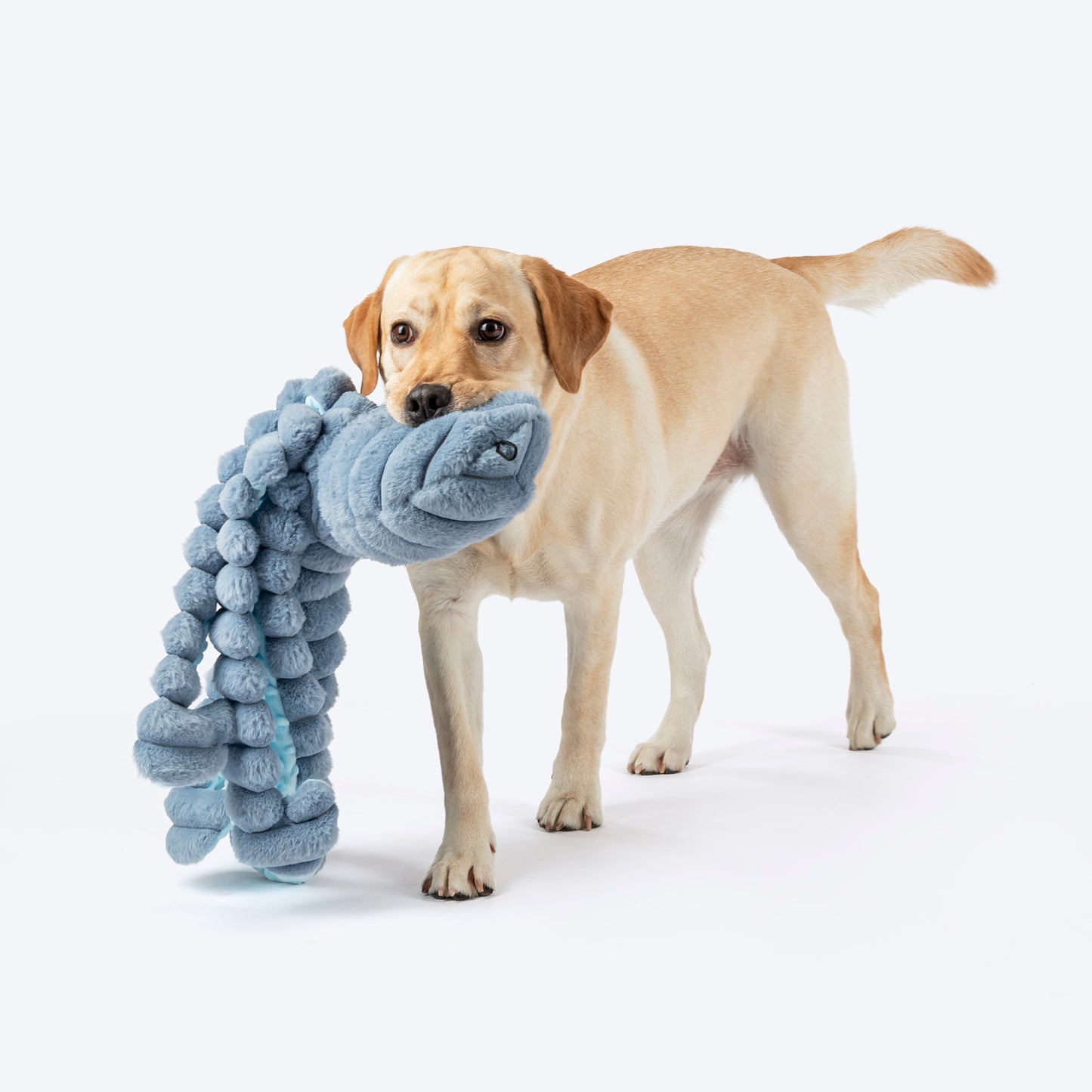 HUFT Mister Wiggles Plush Toy For Dog - Slate Blue - Heads Up For Tails