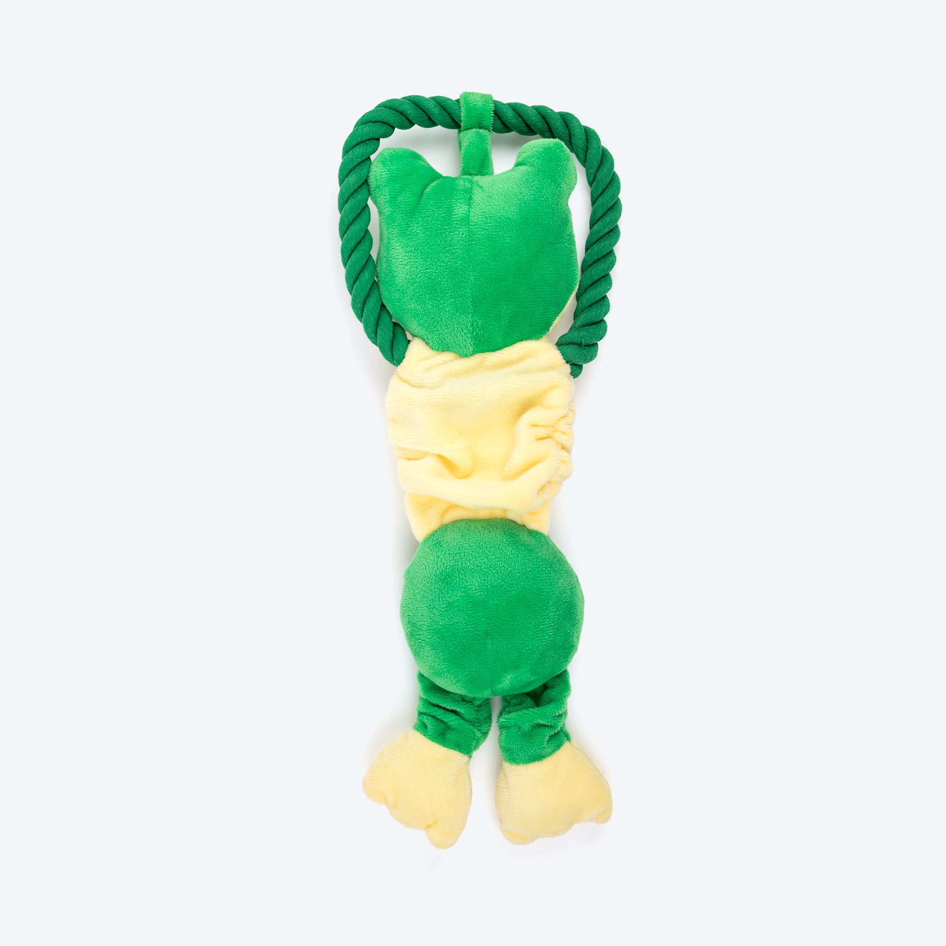 TLC Bungee Frog Squeaky Plush Toy For Dog - Green - Heads Up For Tails