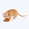 HUFT Squeaktail Interactive (With Catnip Inside) Cat Toy_06