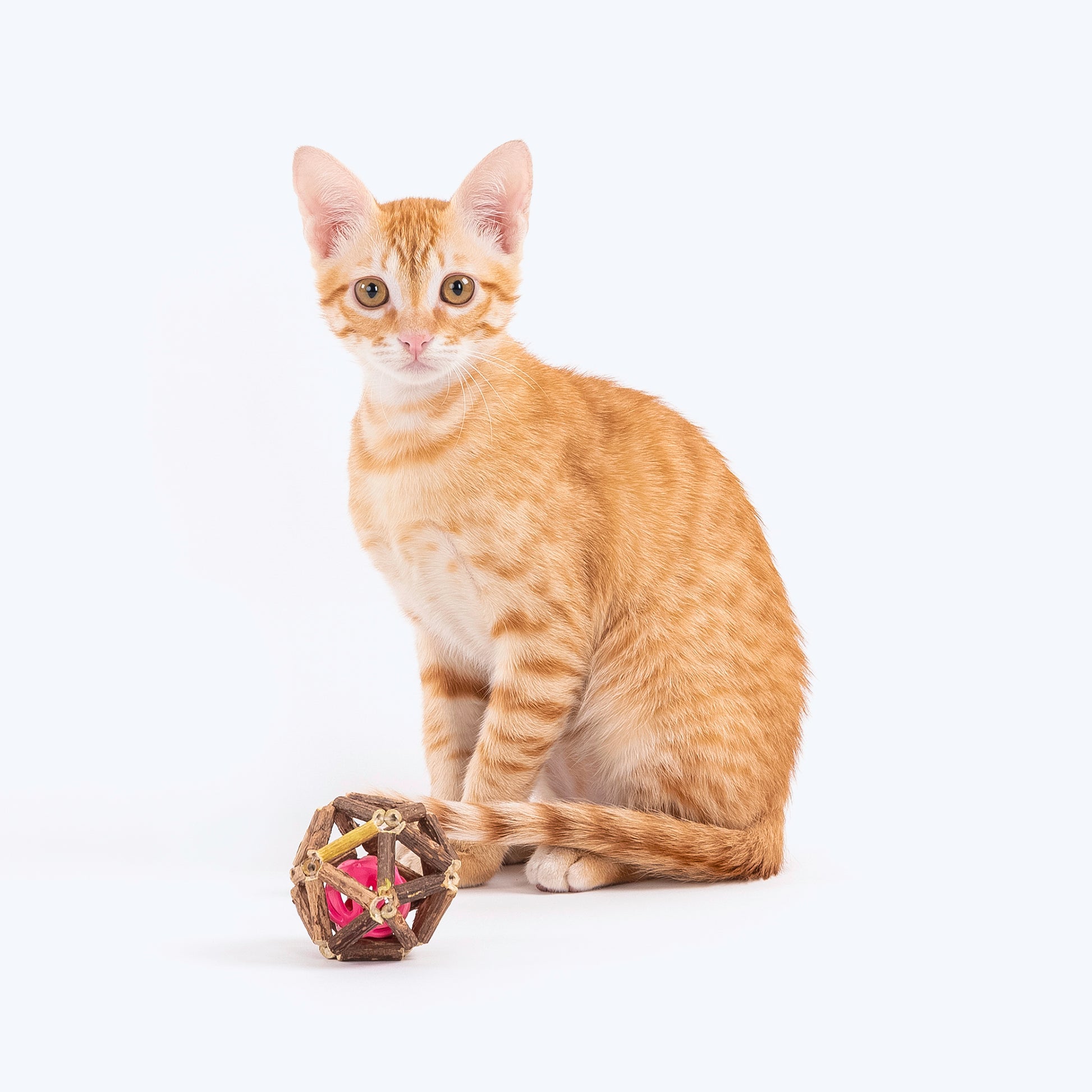 HUFT Matata Ball Interactive Cat Toy_05