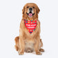 HUFT Fur-ever Loved Printed Dog Bandana - Red - Heads Up For Tails
