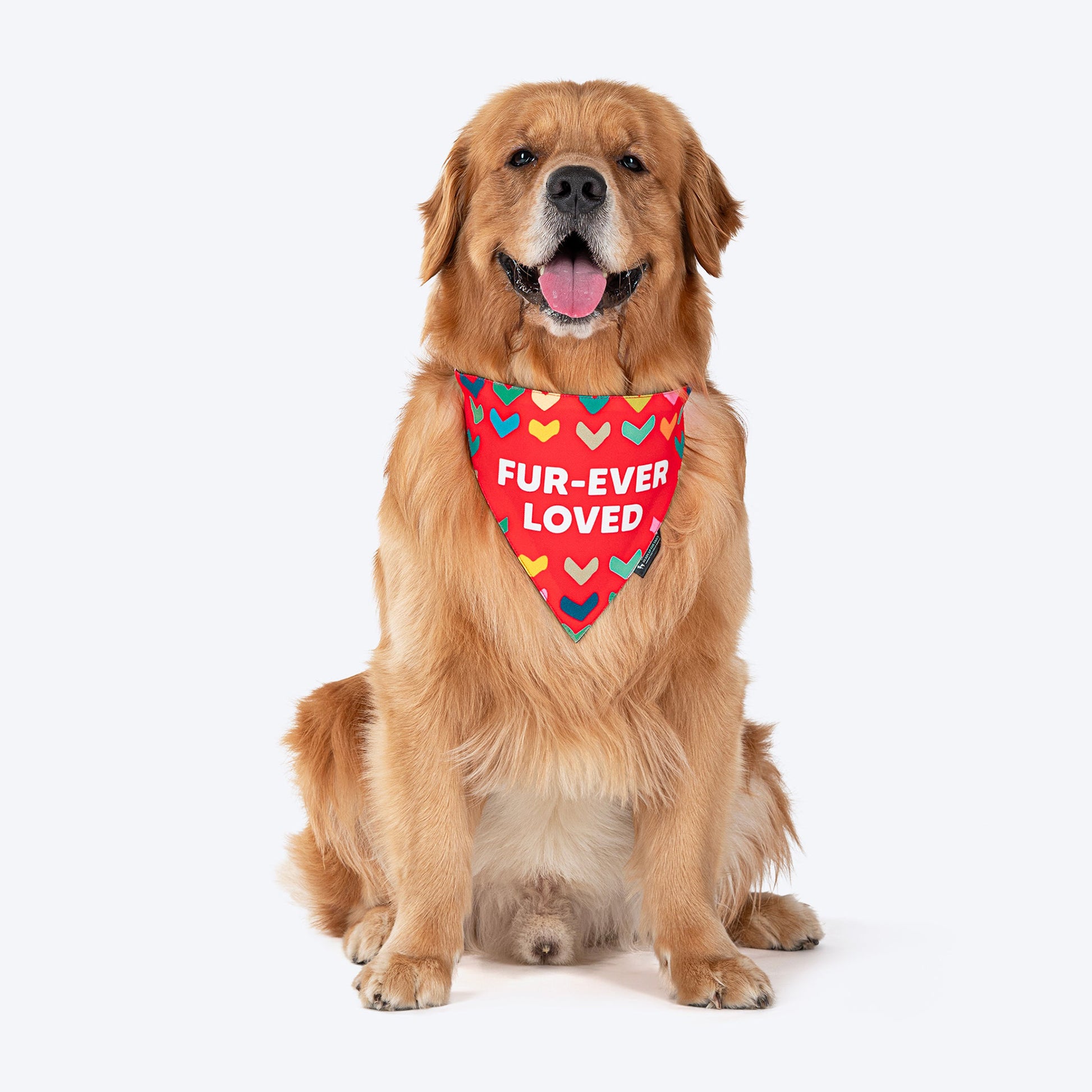 HUFT Fur-ever Loved Printed Dog Bandana - Red - Heads Up For Tails