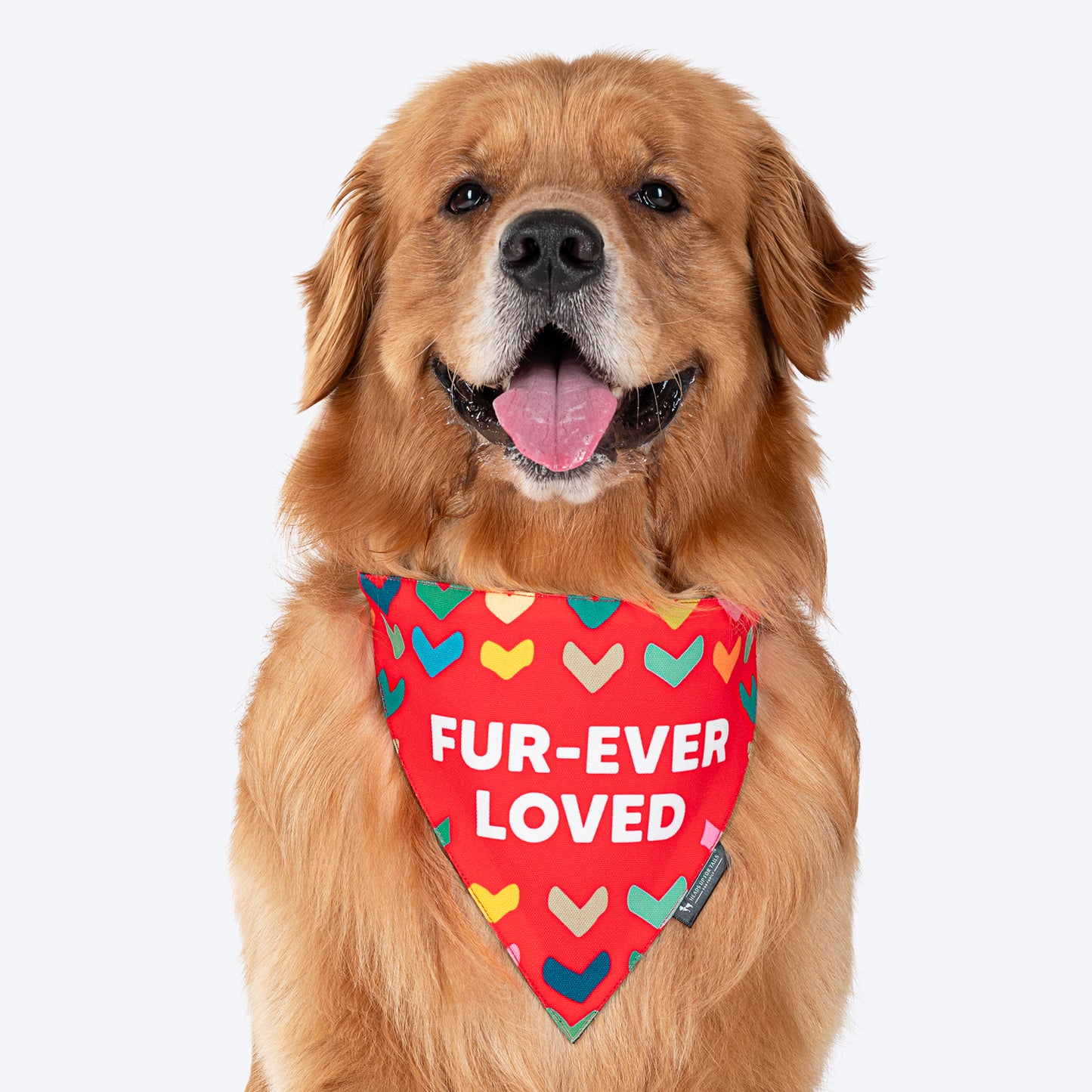 HUFT Fur-ever Loved Printed Dog Bandana - Red - Heads Up For Tails