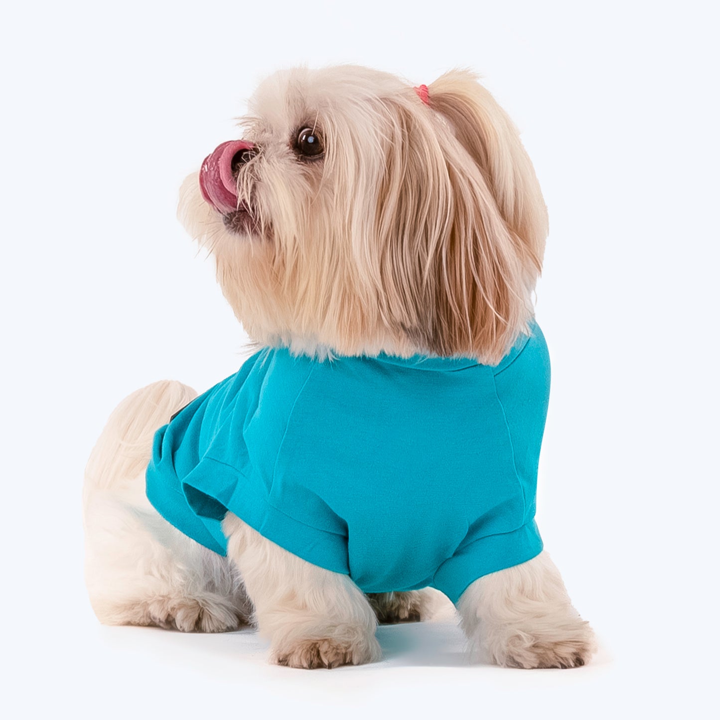 HUFT Cuddle Buddy T-shirt For Dogs - Blue - Heads Up For Tails