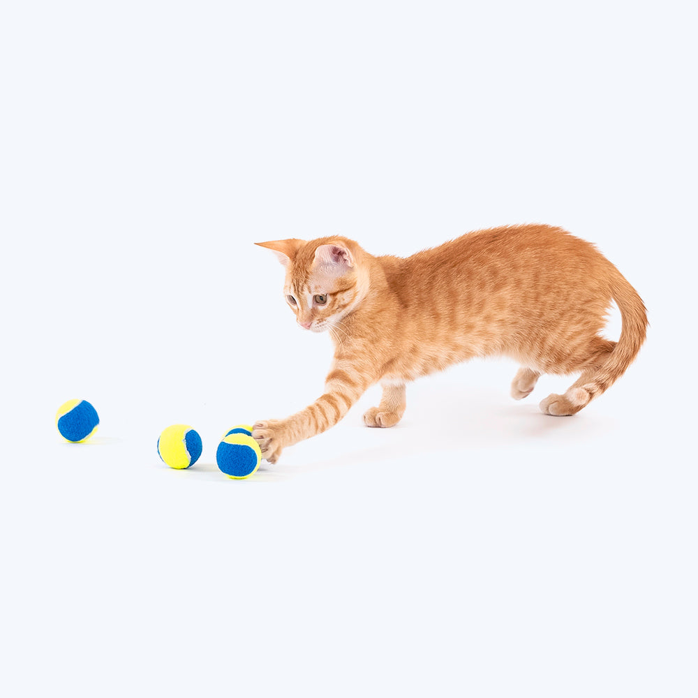 HUFT Squeaky Tennis Balls For Cats & Small Dogs - XS - Pack of 4_06