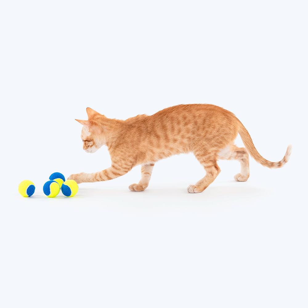 HUFT Squeaky Tennis Balls For Cats & Small Dogs - XS - Pack of 4_05