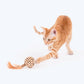 HUFT Whirlwind Matatabi Interactive Cat Toy_07