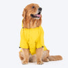 HUFT Magical Mist Raincoats for Pets - Sunshine Yellow_01