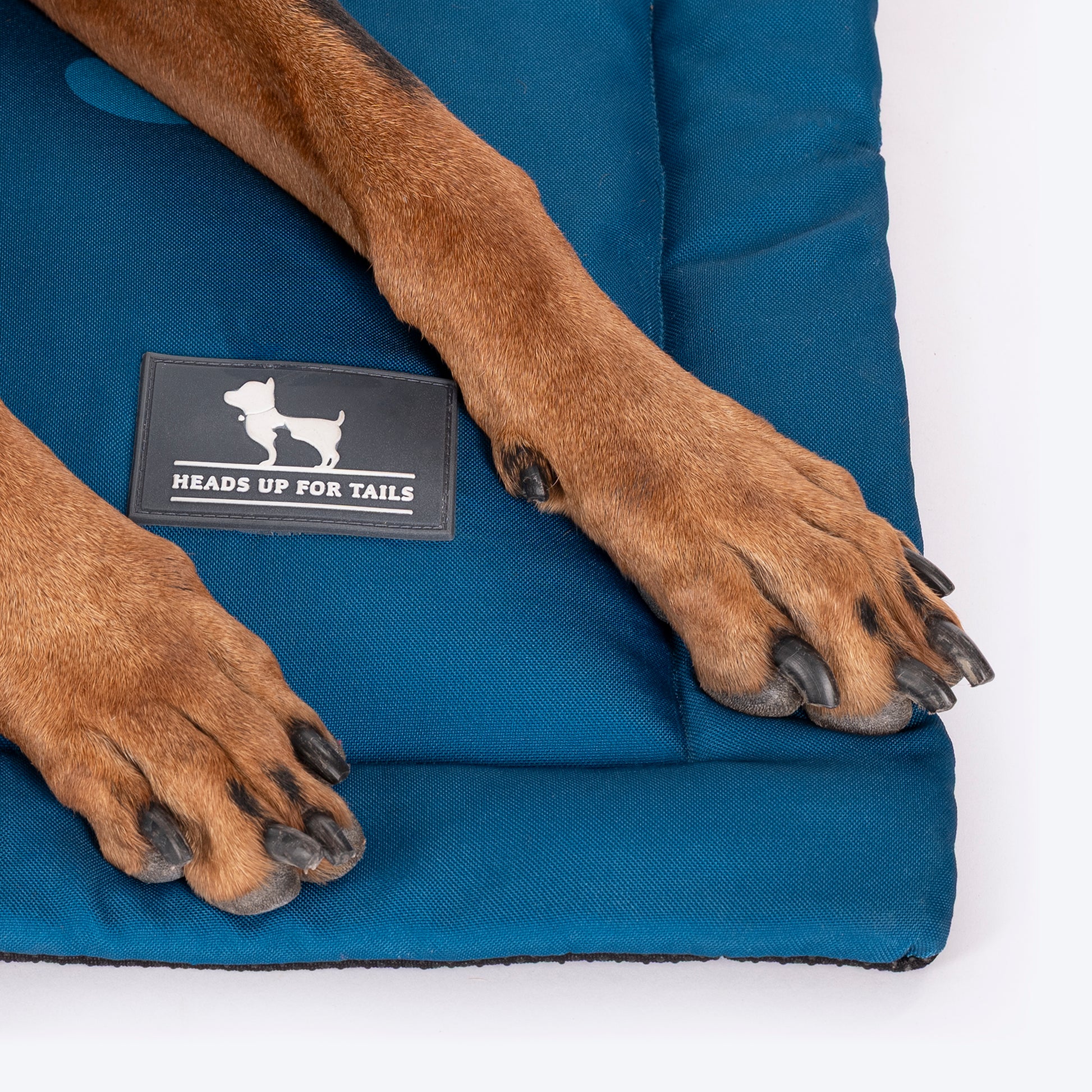 HUFT Pawlease I'm Fabulous Mat For Dog - Teal Blue - Heads Up For Tails