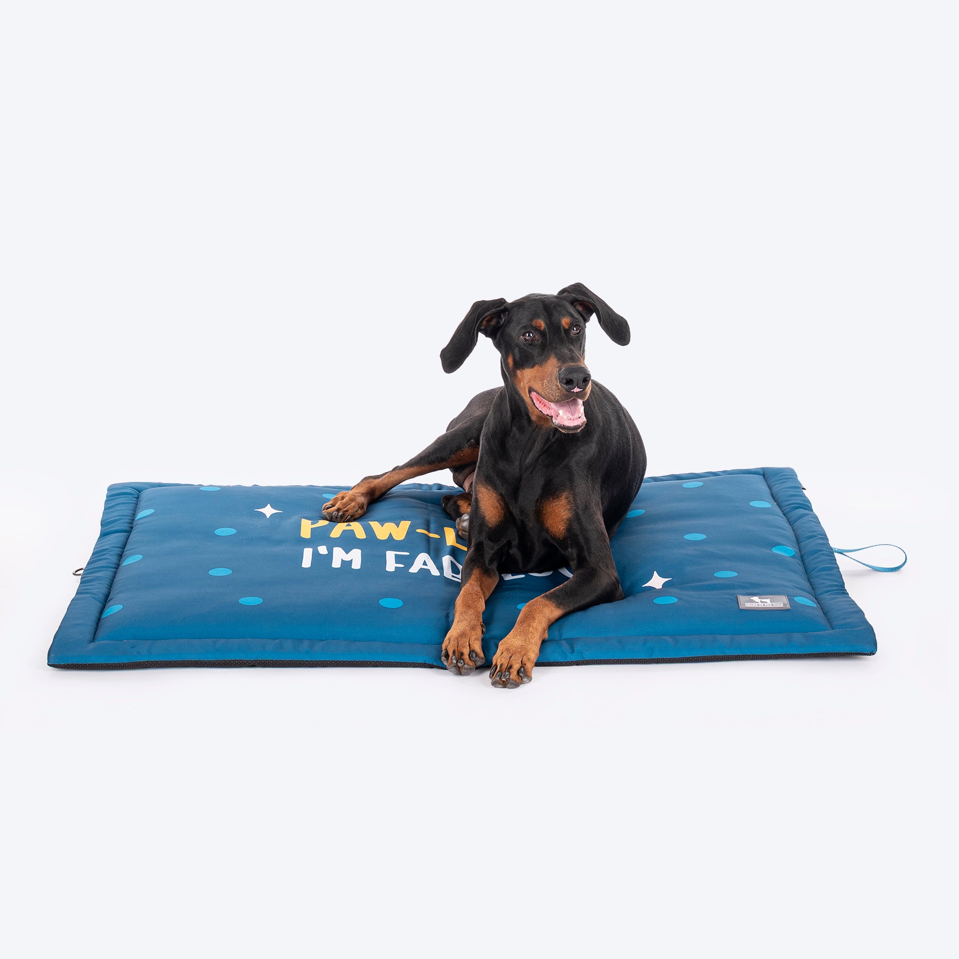 HUFT Pawlease I'm Fabulous Mat For Dog - Teal Blue - Heads Up For Tails