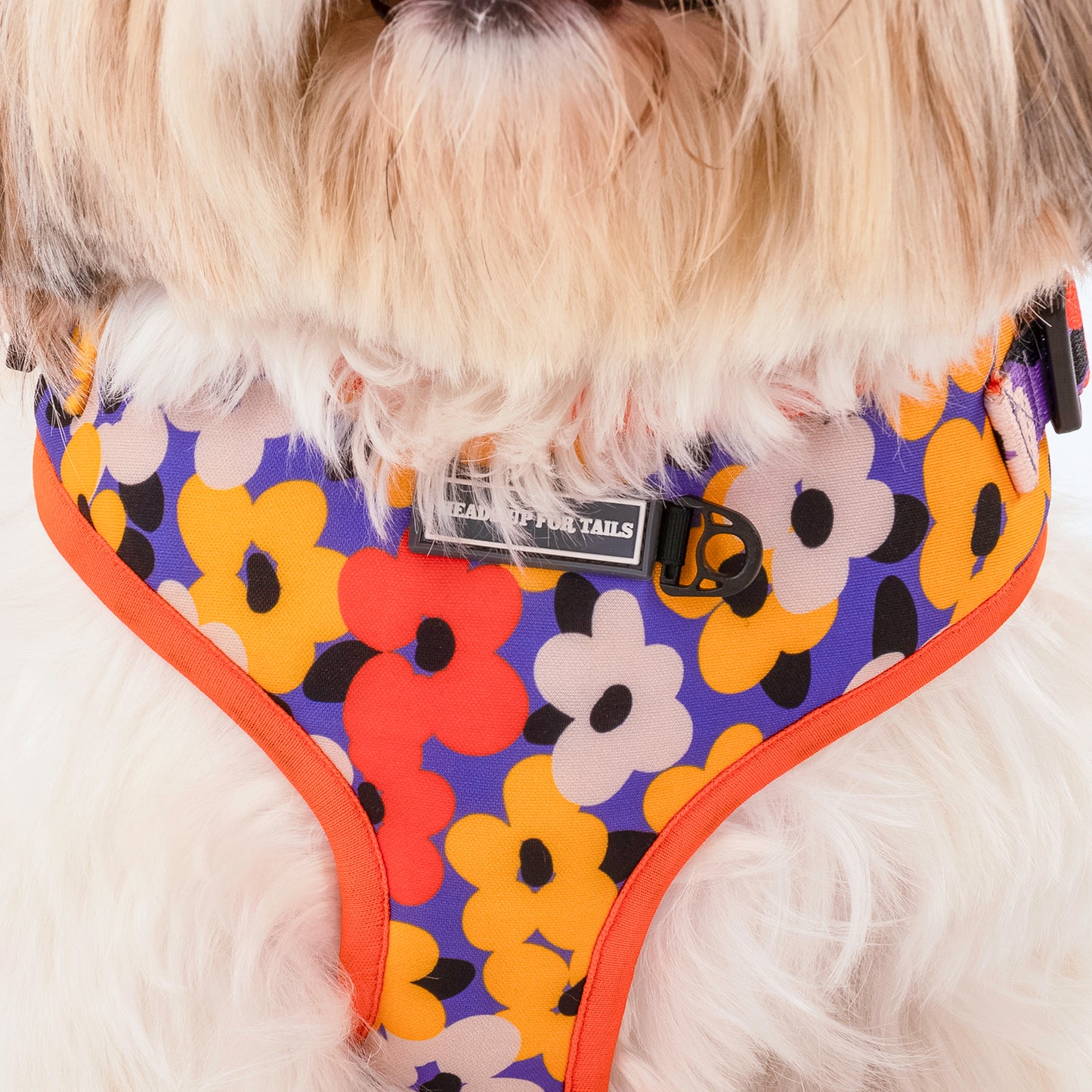 HUFT Misfit Meadow Adjustable Dog Harness - Purple_06
