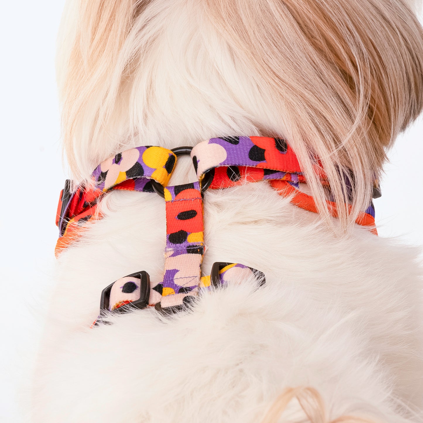 HUFT Misfit Meadow Adjustable Dog Harness - Purple_05