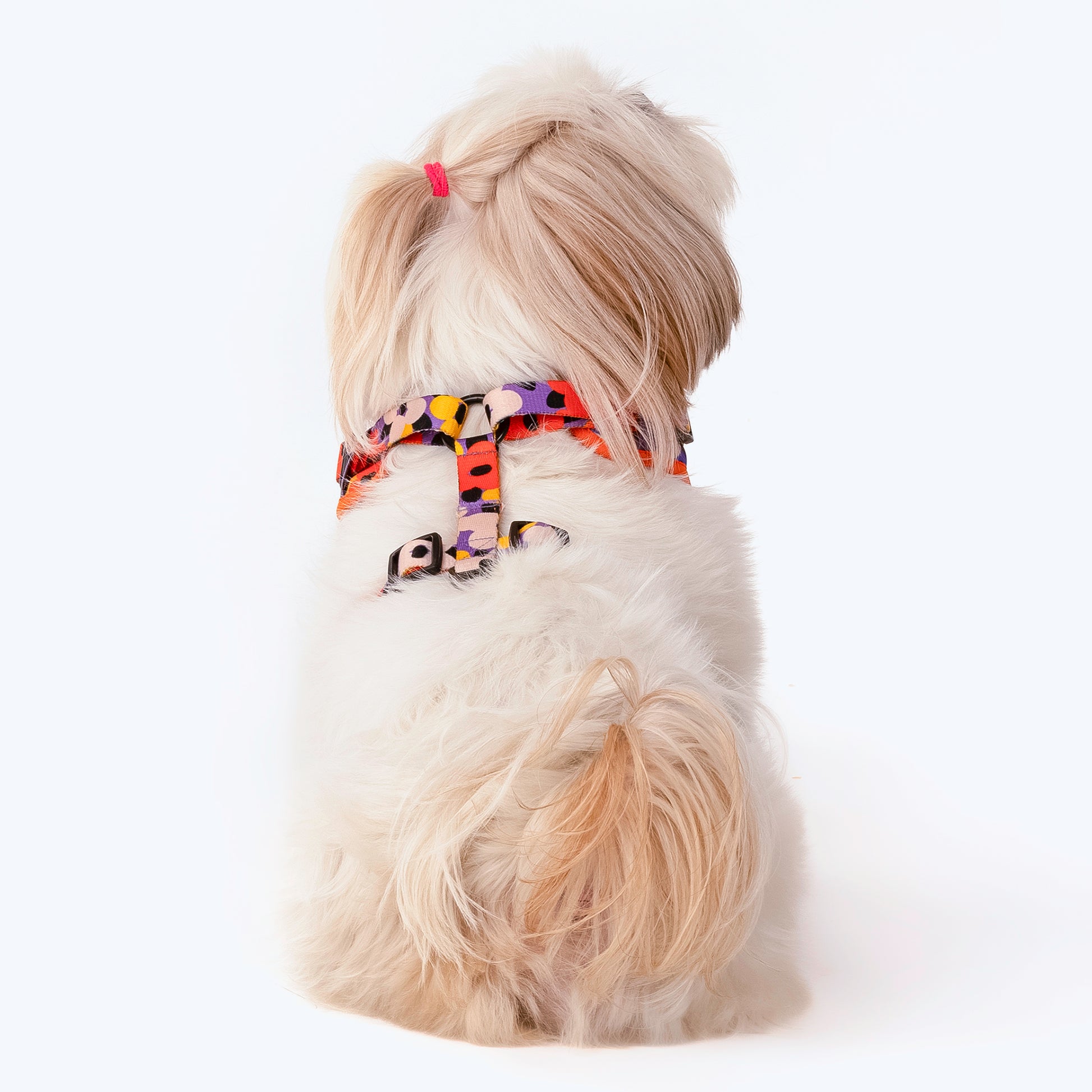 HUFT Misfit Meadow Adjustable Dog Harness - Purple_04
