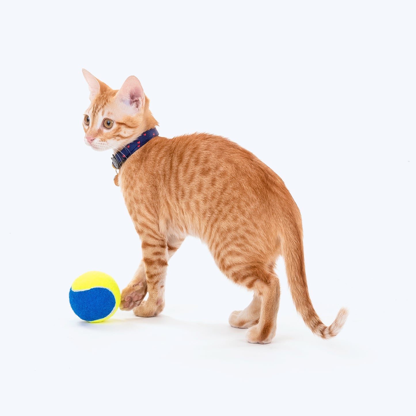 HUFT Squeaky Tennis Balls For Cats & Small Dogs - XS - Pack of 4_09