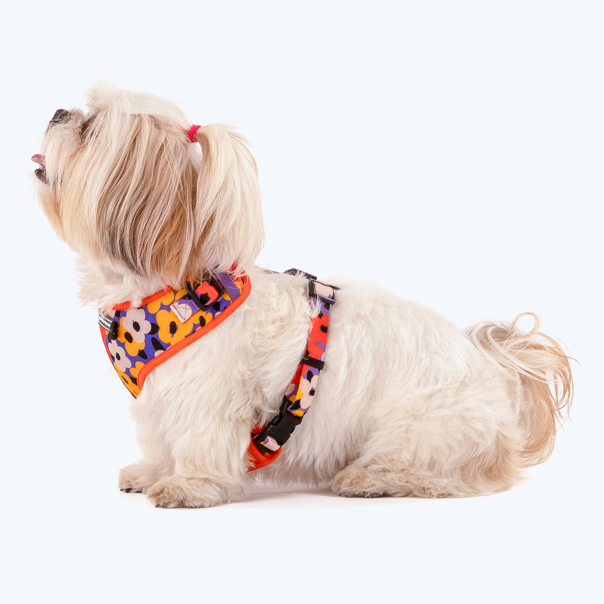 HUFT Misfit Meadow Adjustable Dog Harness - Purple_03
