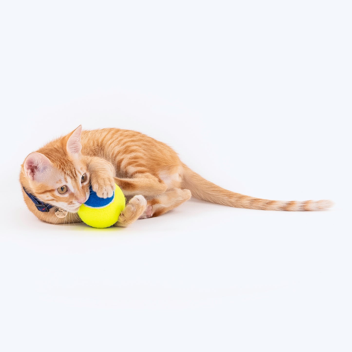 HUFT Squeaky Tennis Balls For Cats & Small Dogs - XS - Pack of 4_07