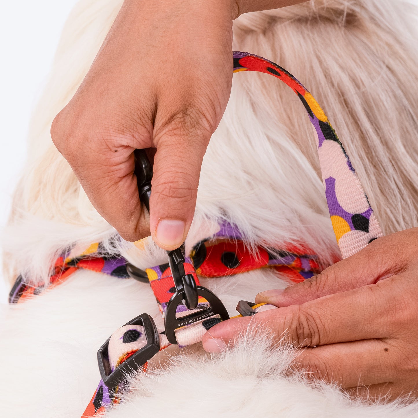 HUFT Misfit Meadow Printed Dog Leash - Purple_03