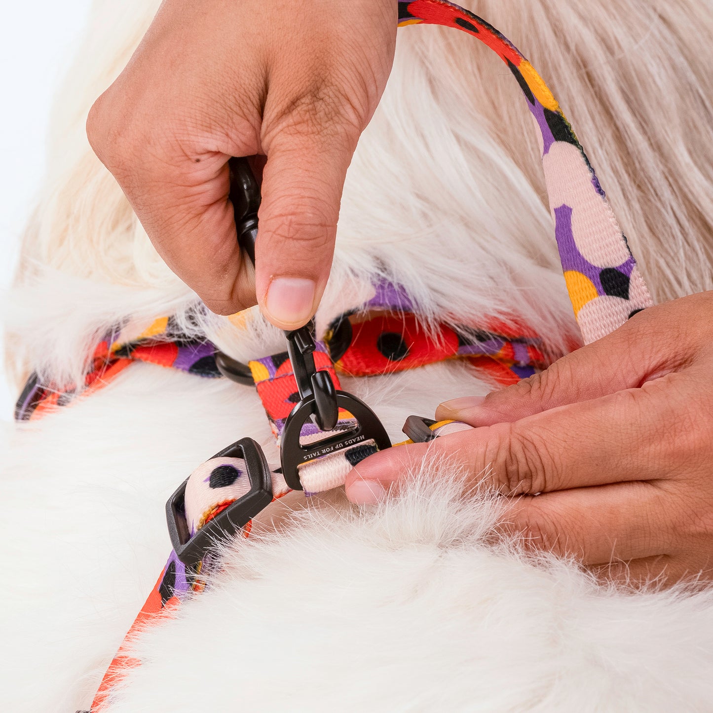HUFT Misfit Meadow Adjustable Dog Harness - Purple_09