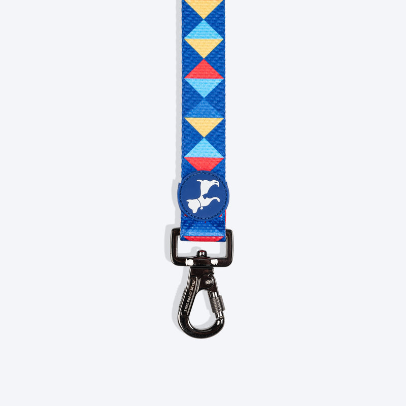 HUFT Prism Patterns Leash For Dog - Blue - Heads Up For Tails