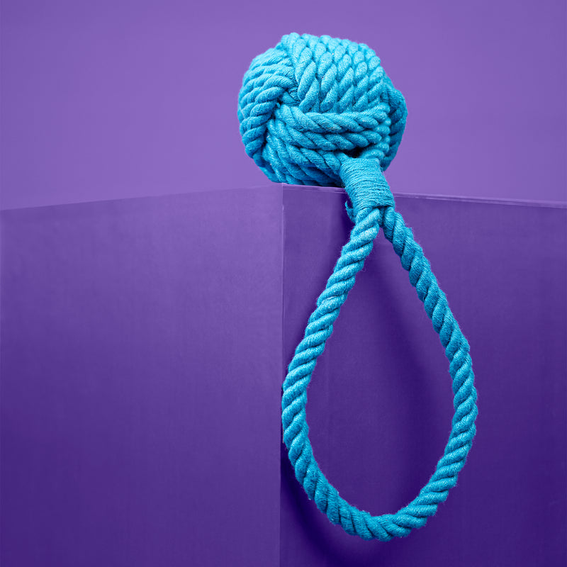 Dash Dog Twist & Tug Rope Toy For Dog - Blue - Heads Up For Tails