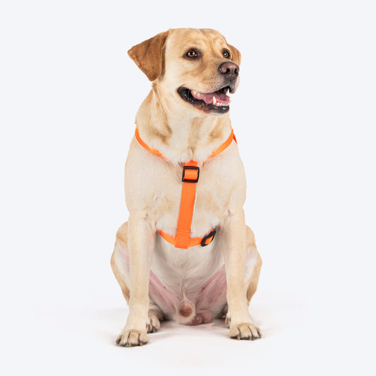 TLC Step-In Harness For Dog - Orange - Heads Up For Tails