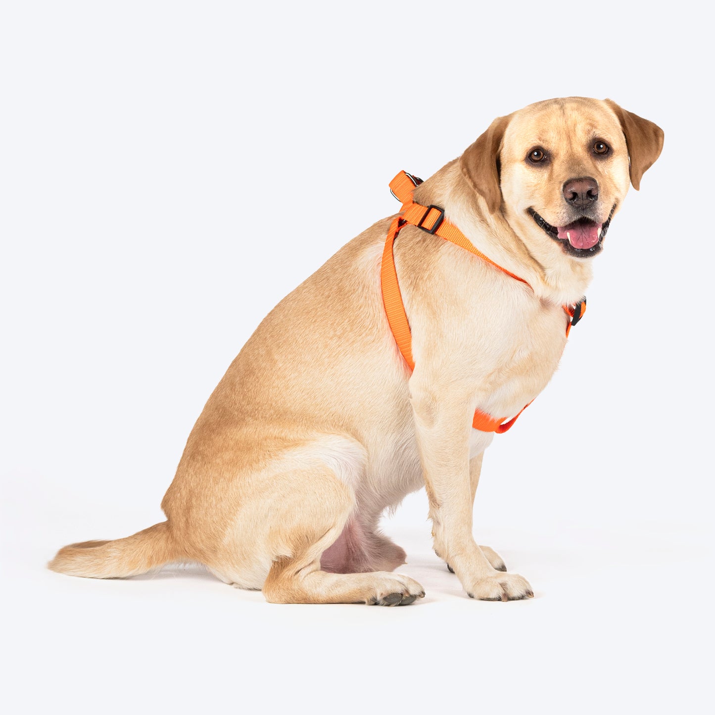 TLC Step-In Harness For Dog - Orange - Heads Up For Tails