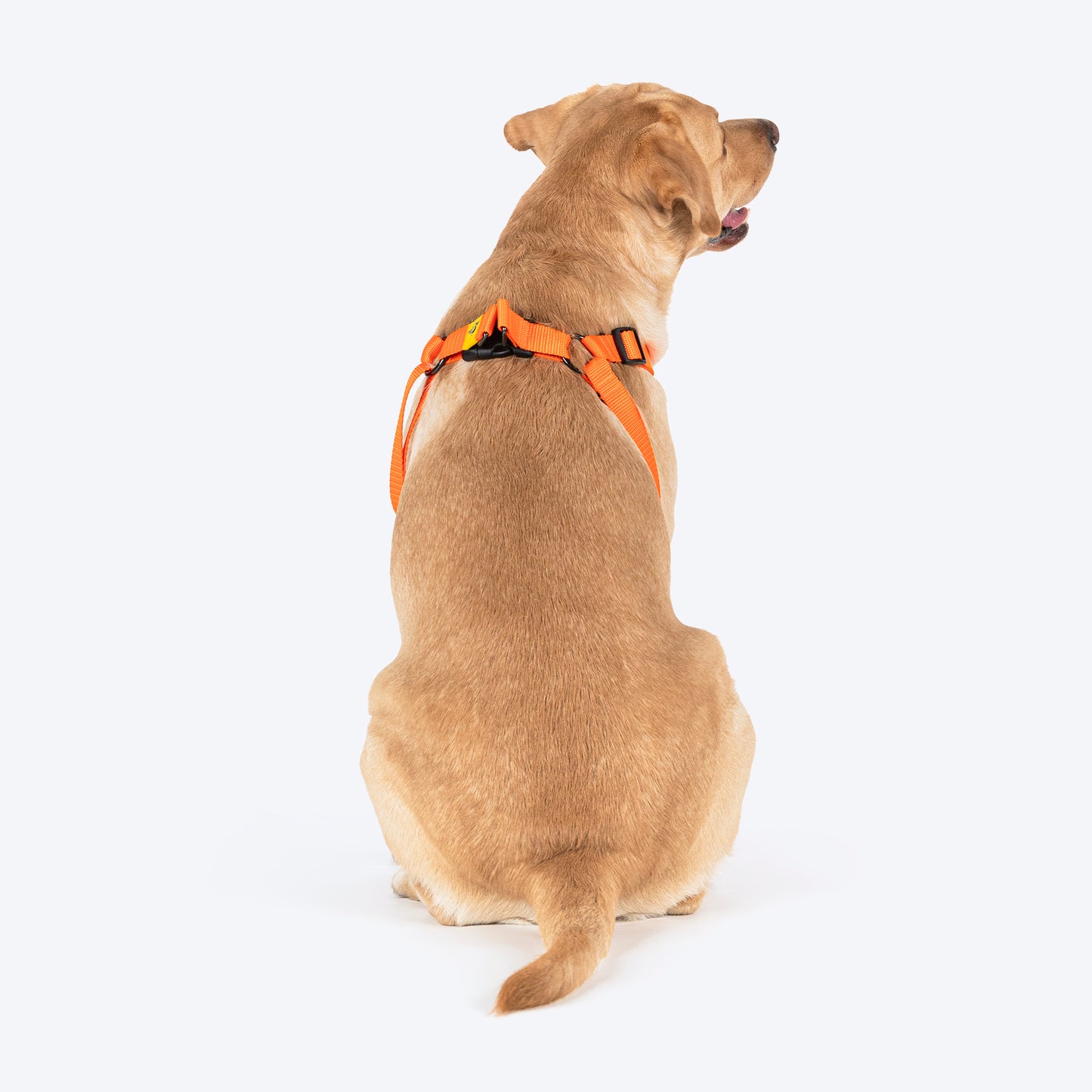 TLC Step-In Harness For Dog - Orange - Heads Up For Tails