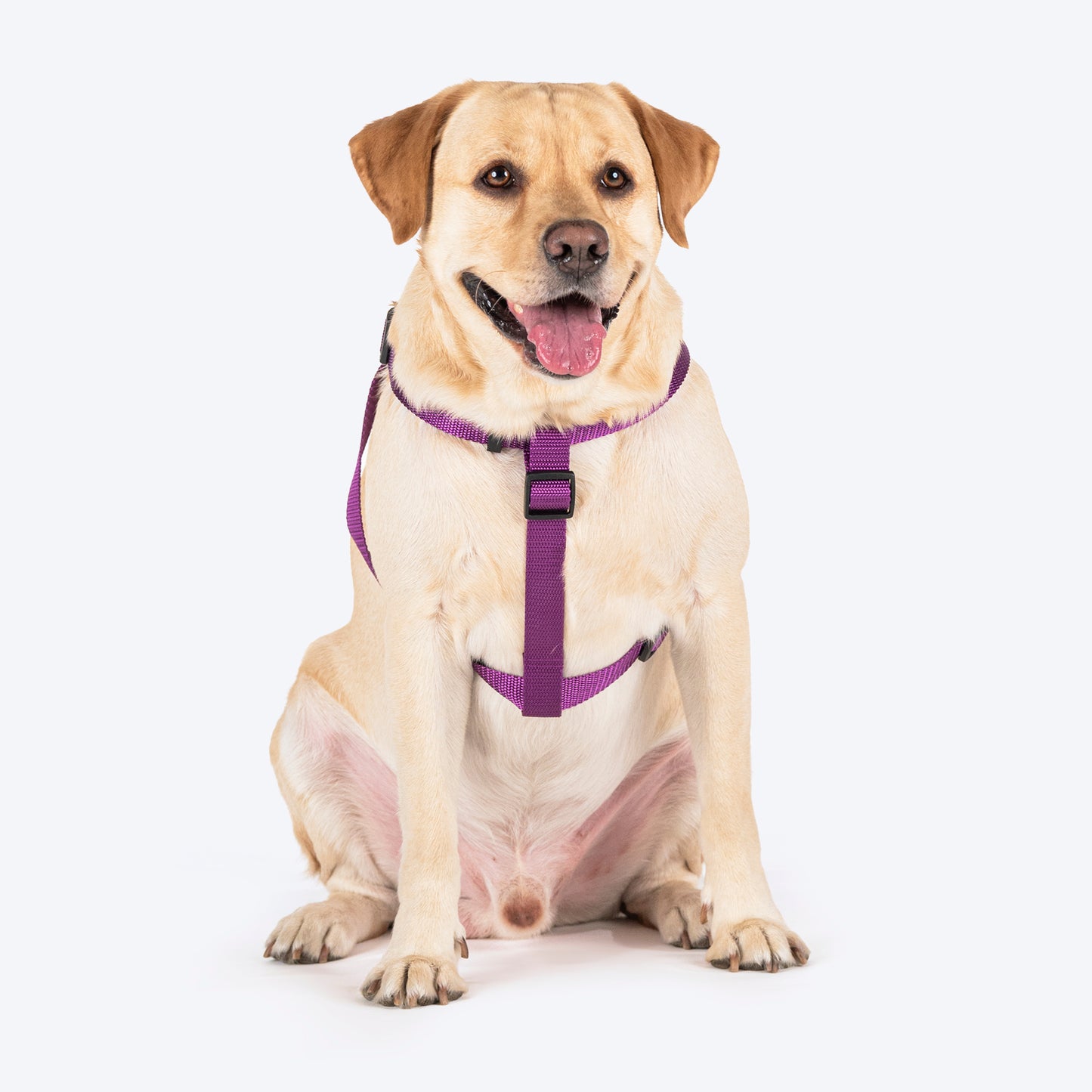 TLC Step-In Harness For Dog - Purple - Heads Up For Tails