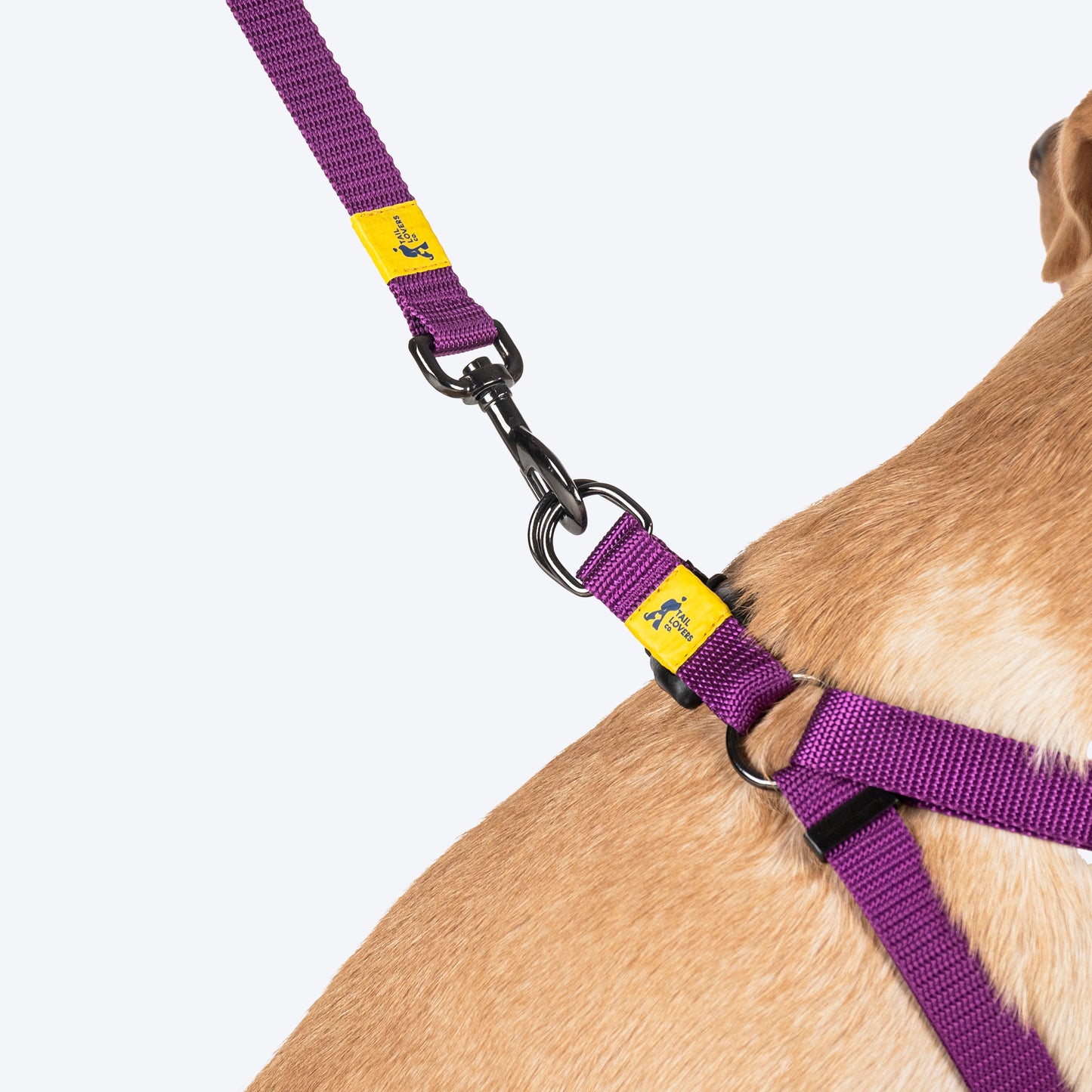 TLC Step-In Harness For Dog - Purple - Heads Up For Tails