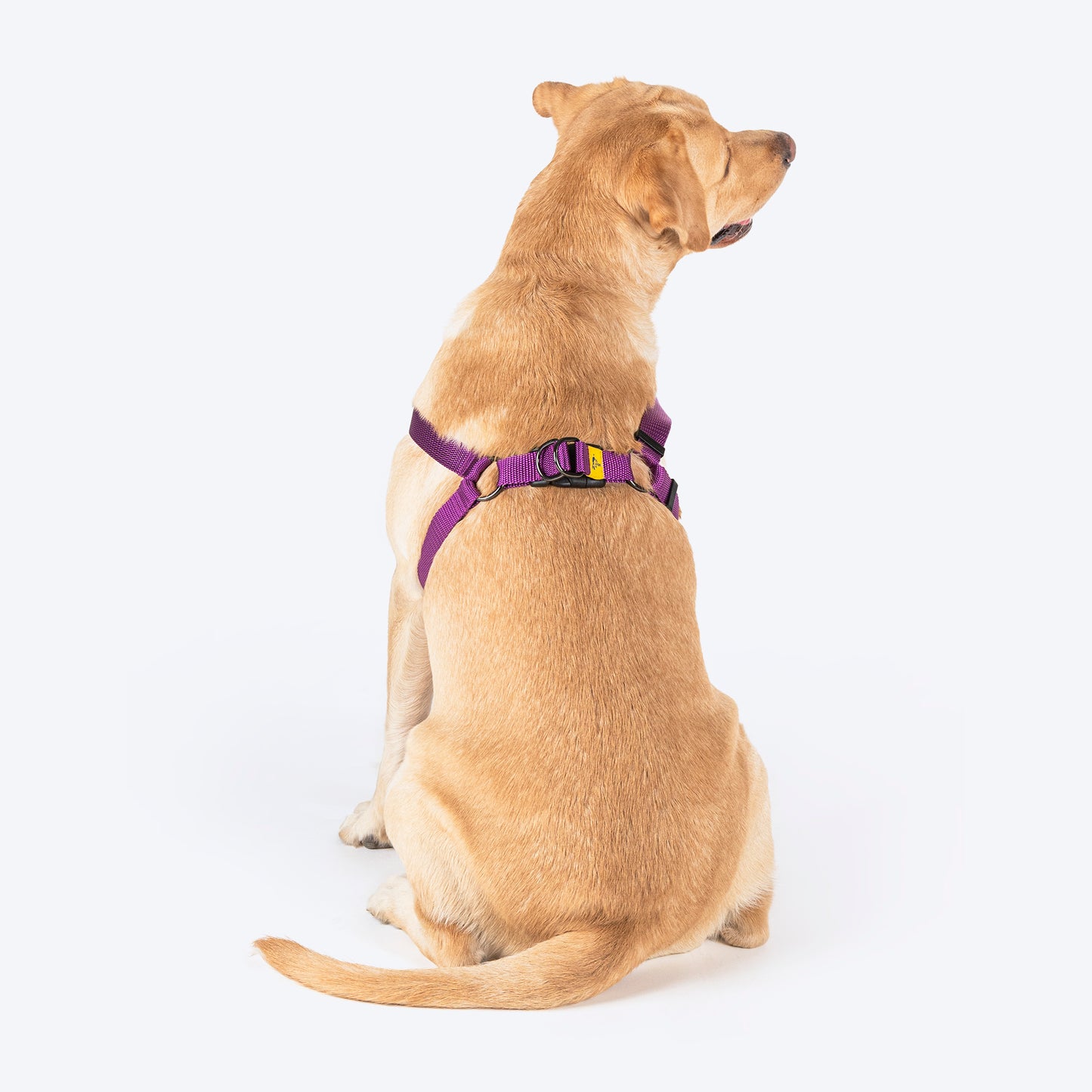 TLC Step-In Harness For Dog - Purple - Heads Up For Tails