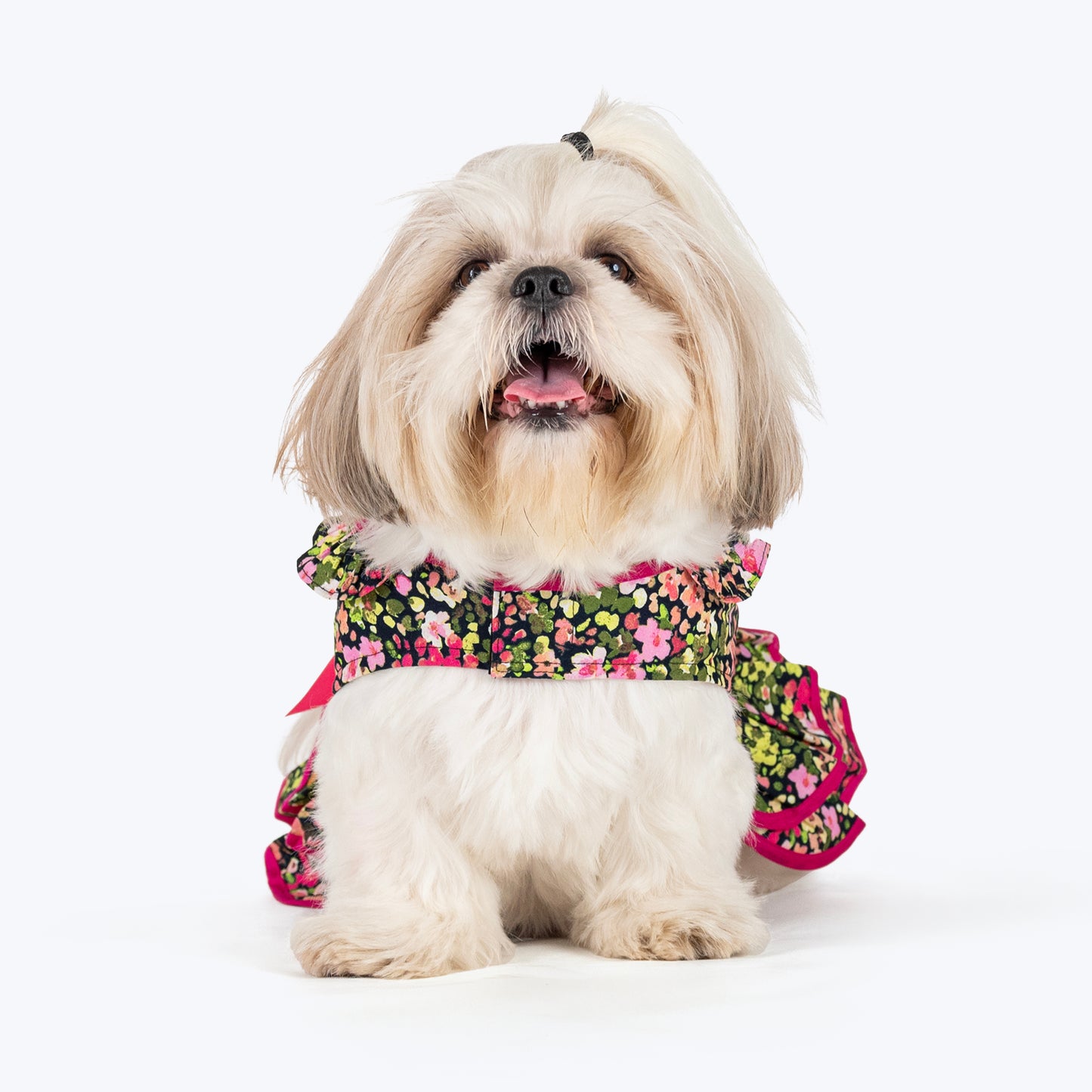 HUFT Printed Floral Cotton Dress For Dog - Black - Heads Up For Tails