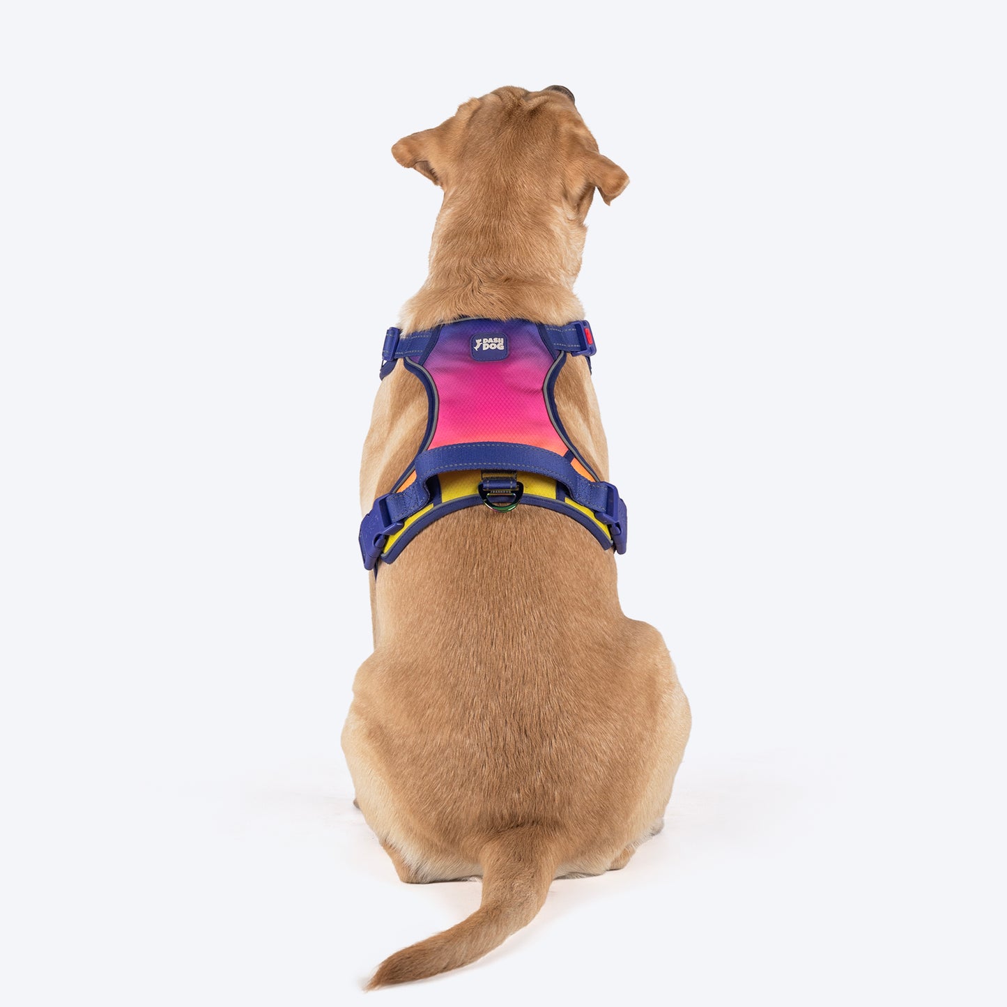 Dash Dog Flow Walk-Along Harness For Dog - Pink & Purple - Heads Up For Tails