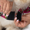 HUFT Printed Floral Cotton Dress For Dog - Black - Heads Up For Tails