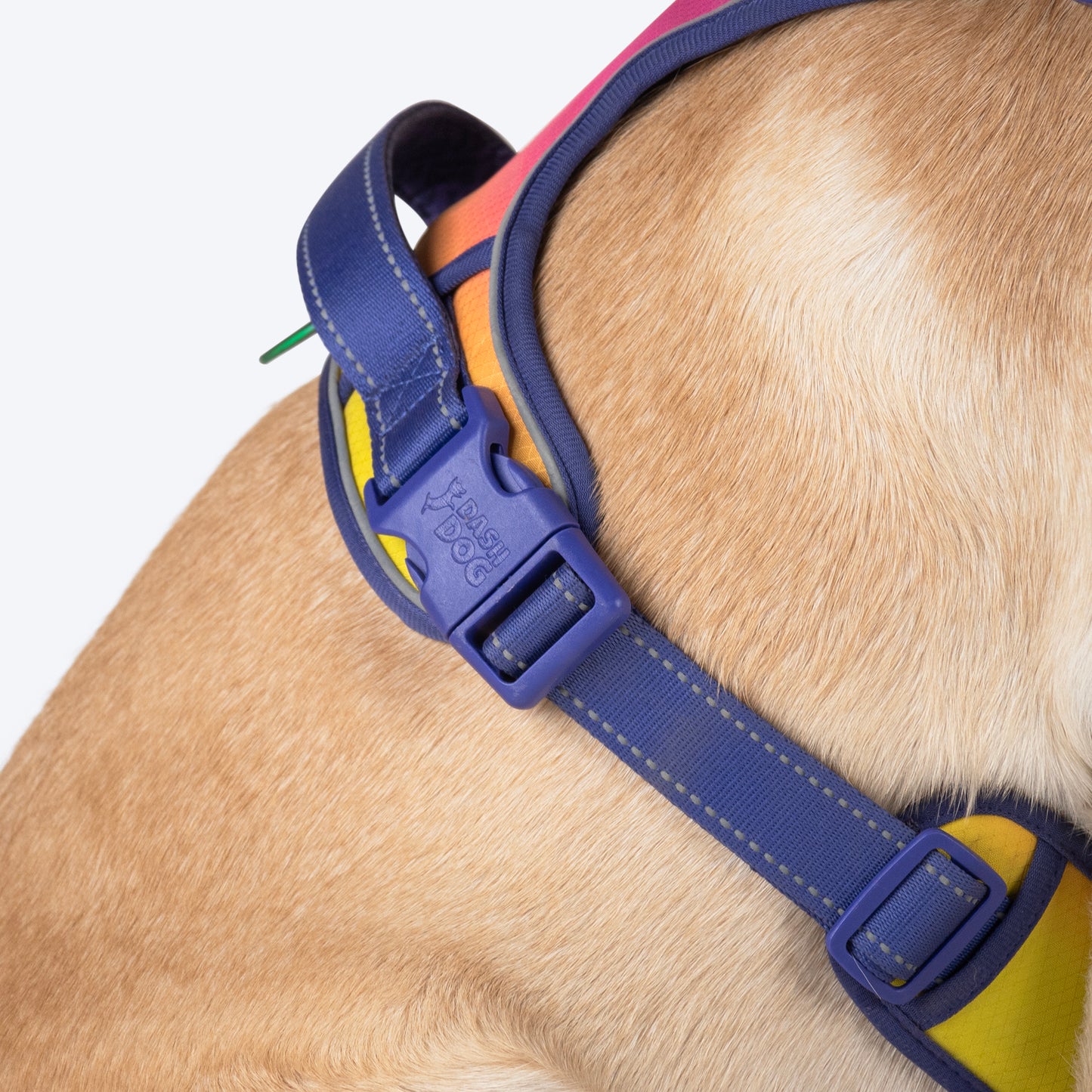 Dash Dog Flow Walk-Along Harness For Dog - Pink & Purple - Heads Up For Tails