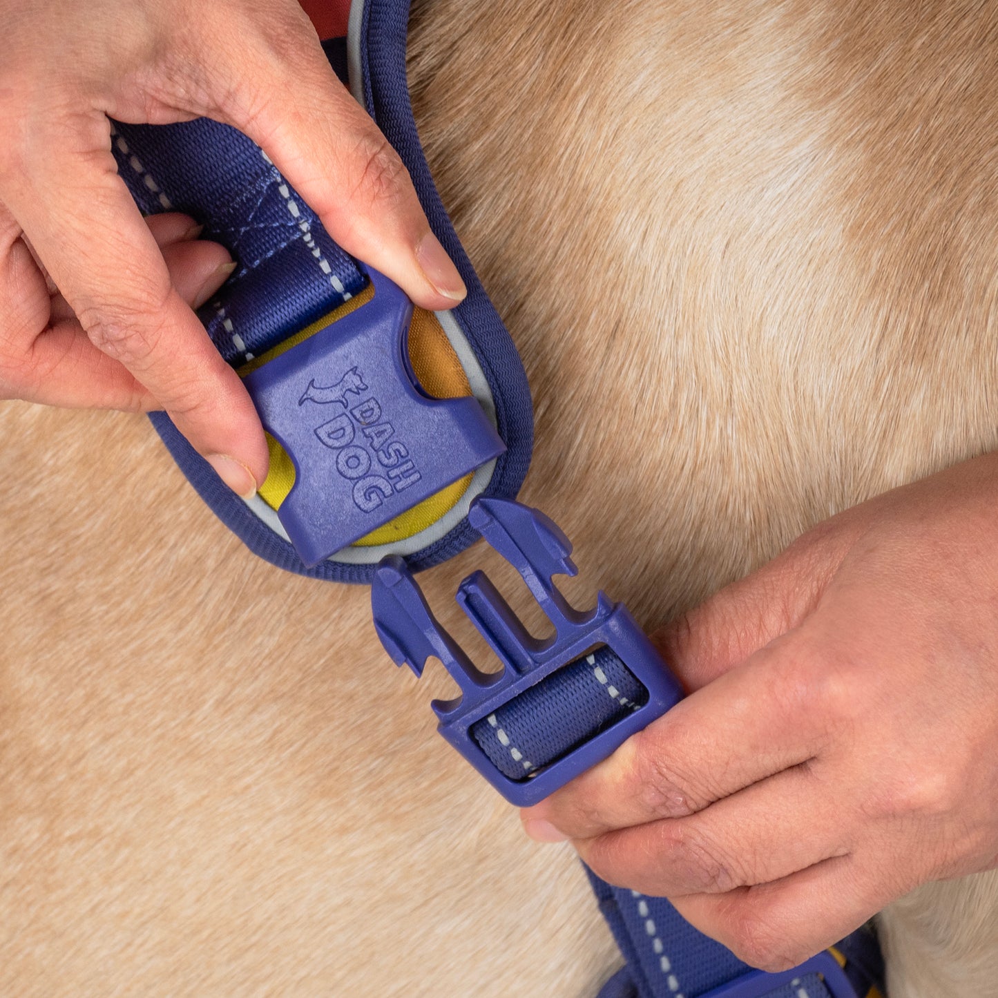 Dash Dog Flow Walk-Along Harness For Dog - Pink & Purple - Heads Up For Tails