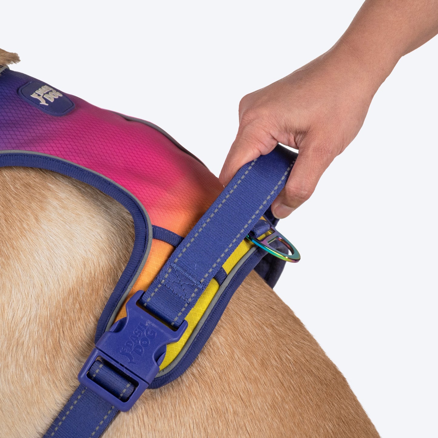 Dash Dog Flow Walk-Along Harness For Dog - Pink & Purple - Heads Up For Tails