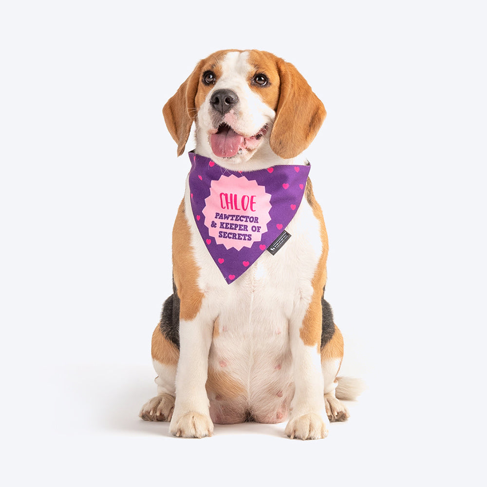 HUFT Personalised Sister - Pawtector & Keeper of Secrets Dog Bandana - Heads Up For Tails