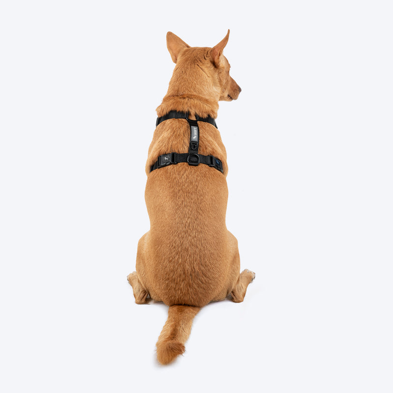 HUFT Classic H Harness For Dog - Coal Black - Heads Up For Tails