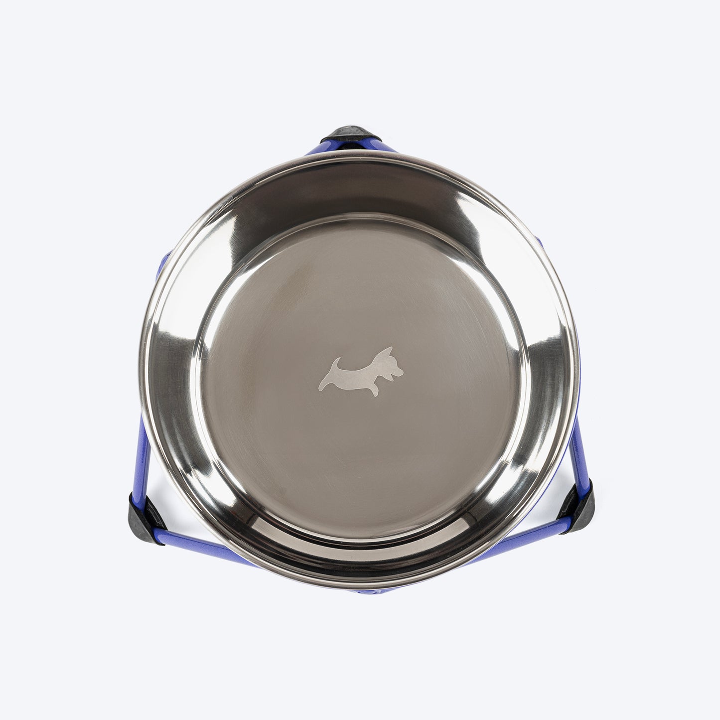 Dash Dog Rainbow Rush Elevated Single Diner With Steel Bowl Inserts For Dog - Violet - Heads Up For Tails