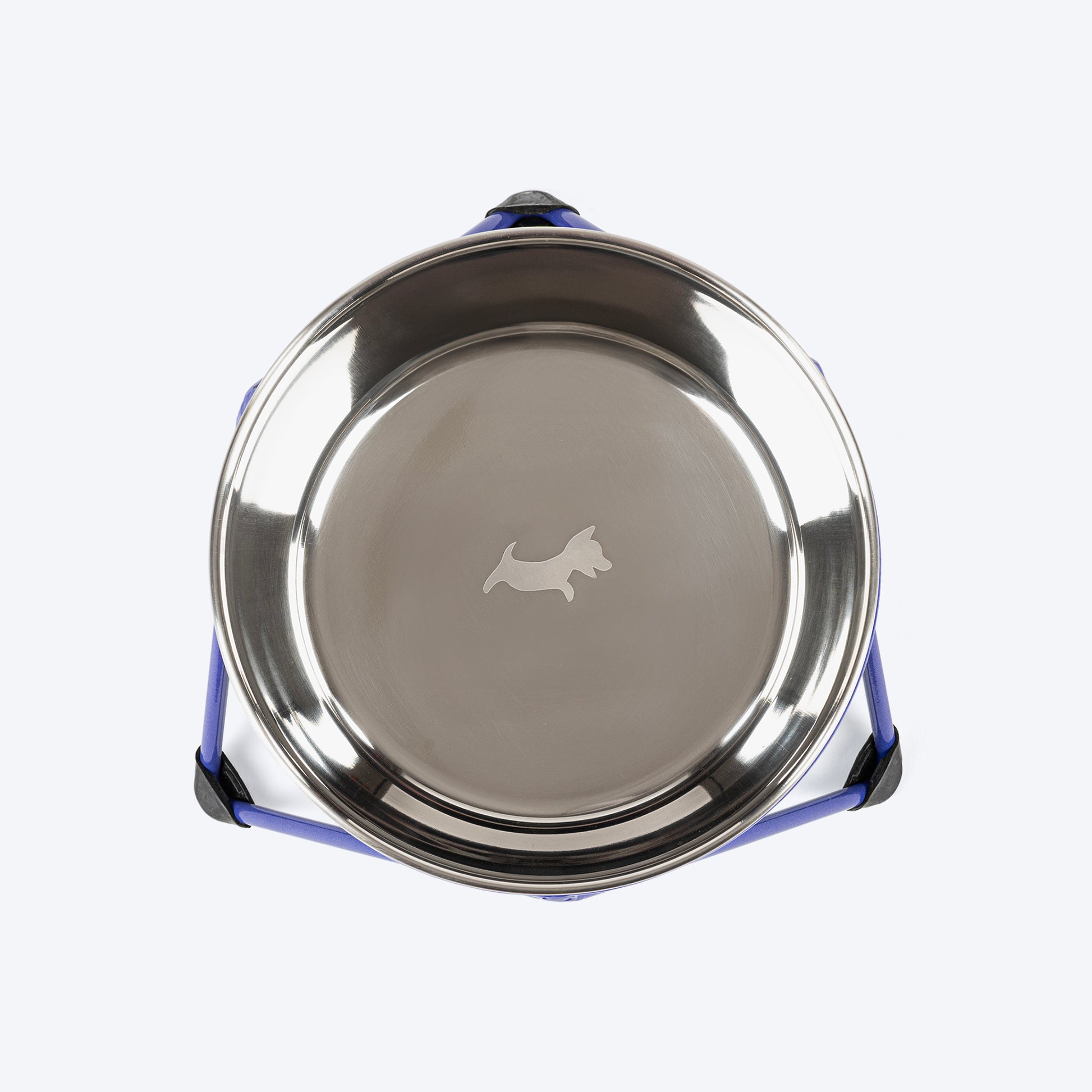 Dash Dog Rainbow Rush Elevated Single Diner With Steel Bowl Inserts For Dog - Violet - Heads Up For Tails