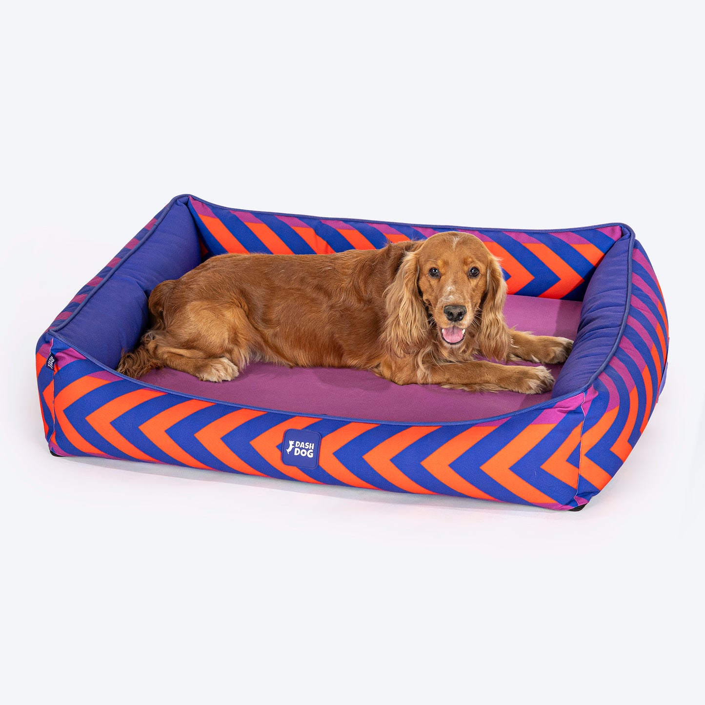 Dash Dog Chevron Water Repellent Lounger Dog Bed - Purple & Orange - Heads Up For Tails