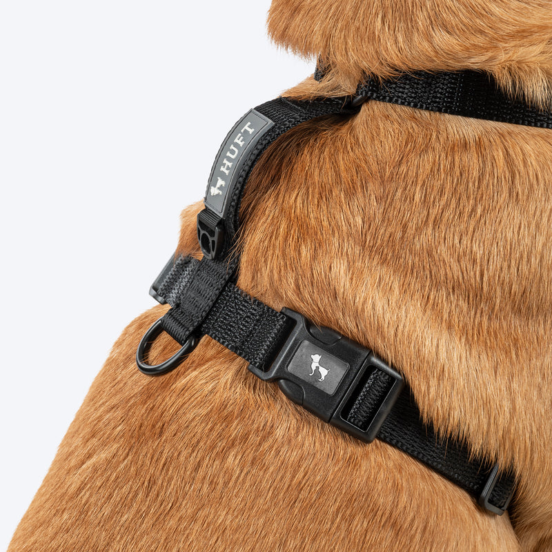 HUFT Classic H Harness For Dog - Coal Black - Heads Up For Tails