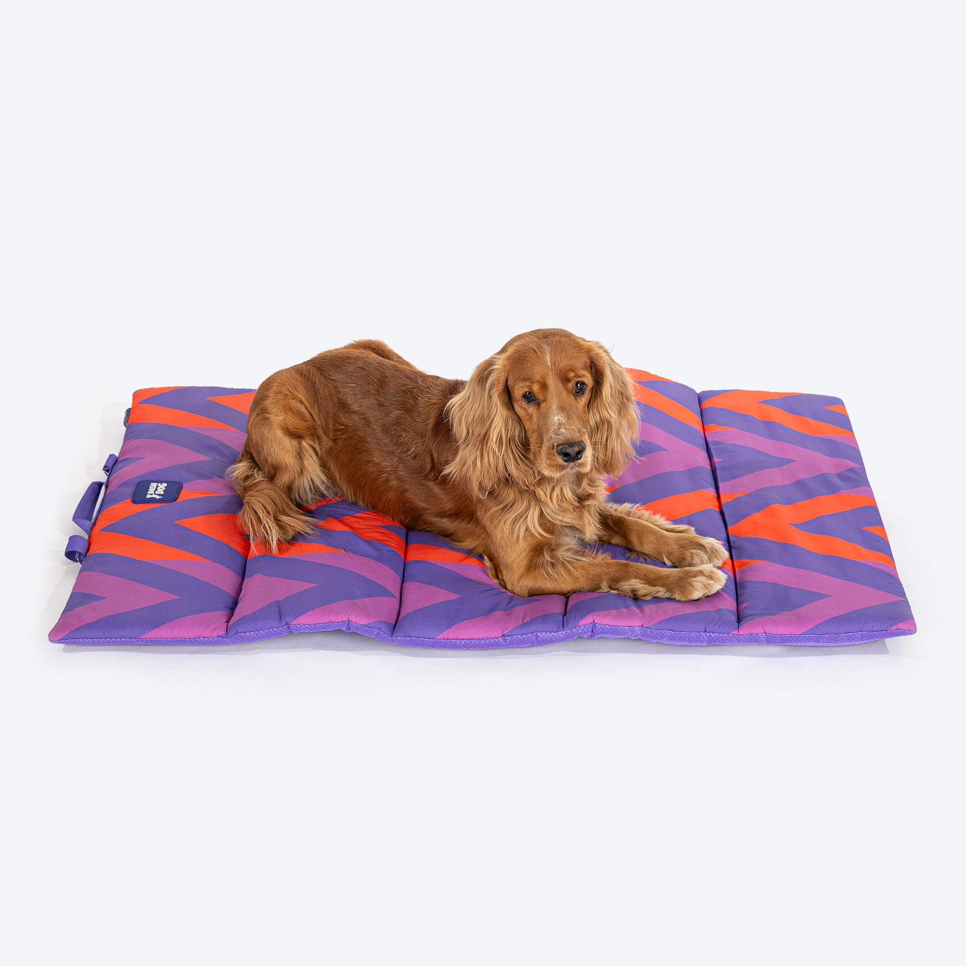 Dash Dog Zig Zaggers Water Repellent Portable Mat For Dog - Orange & Purple - Heads Up For Tails