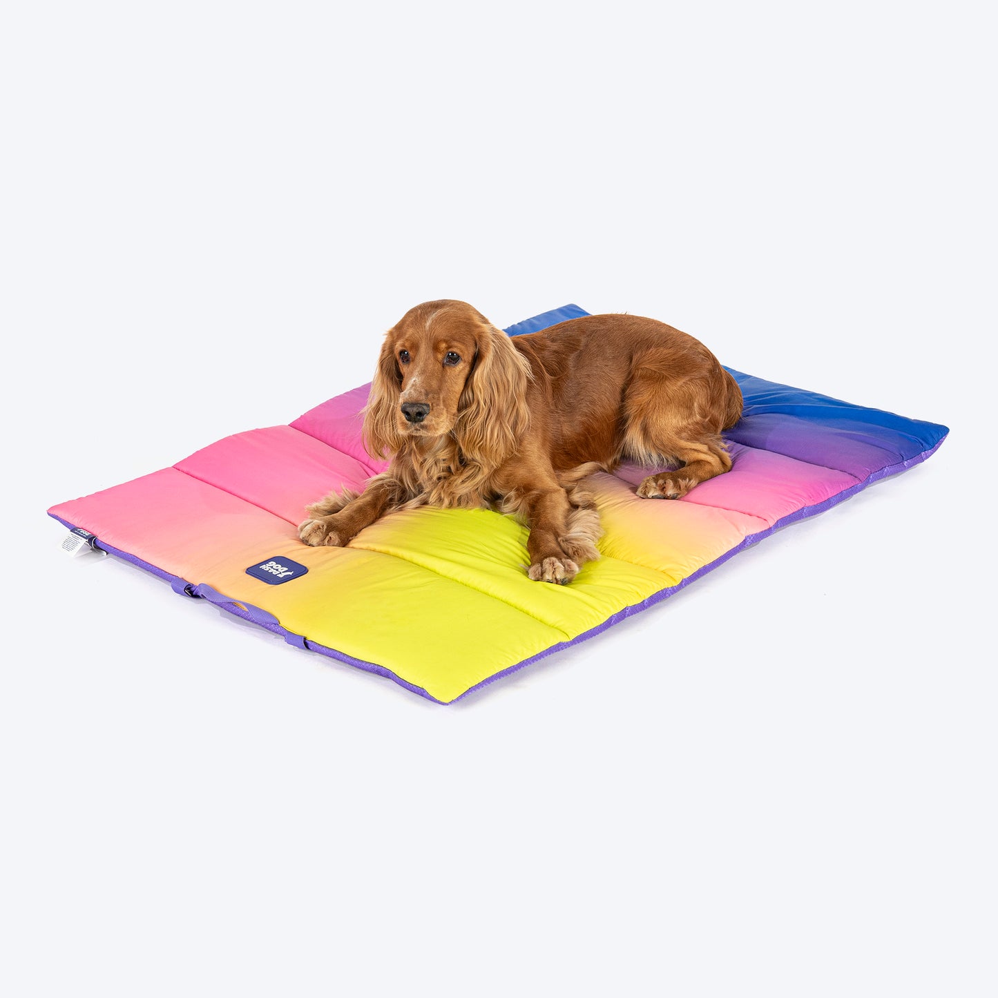 Dash Dog Ombre Fusion Water Repellent Portable Mat For Dog - Purple & Yellow - Heads Up For Tails